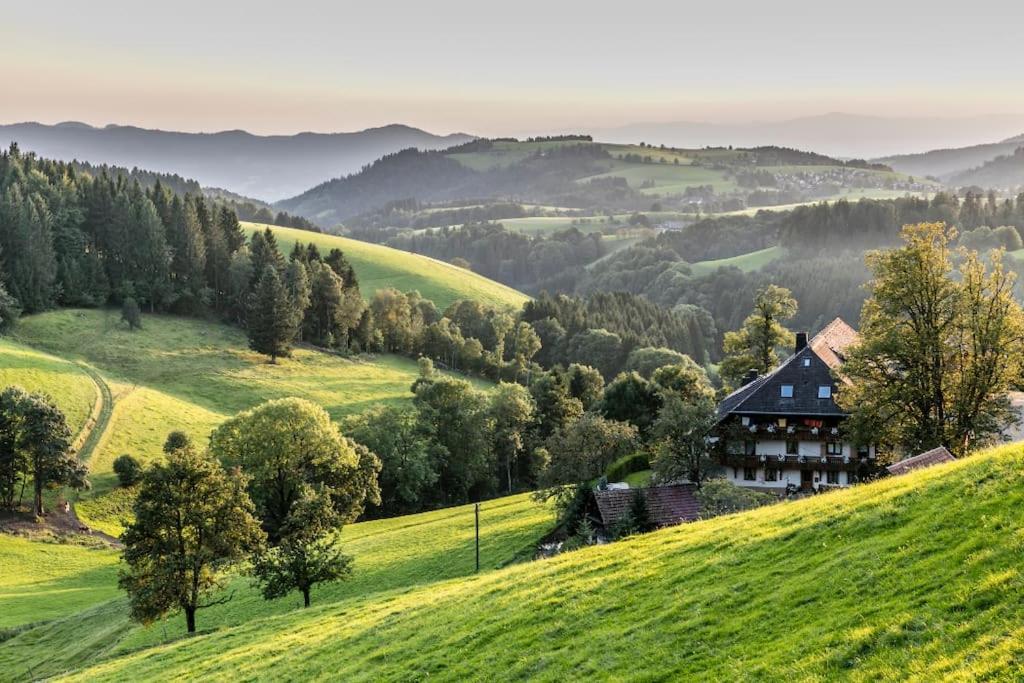 Waldoase Titisee Dış mekan fotoğraf