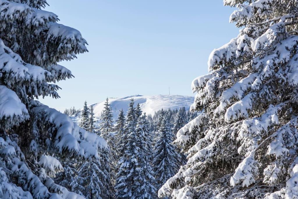 Waldoase Titisee Dış mekan fotoğraf