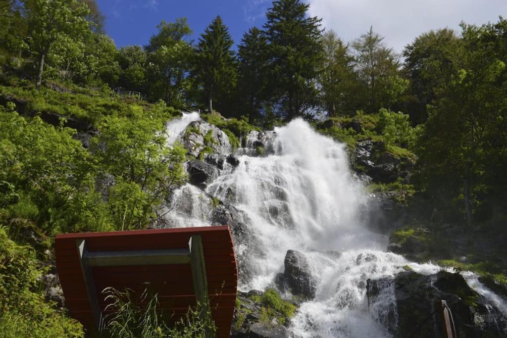 Waldoase Titisee Dış mekan fotoğraf